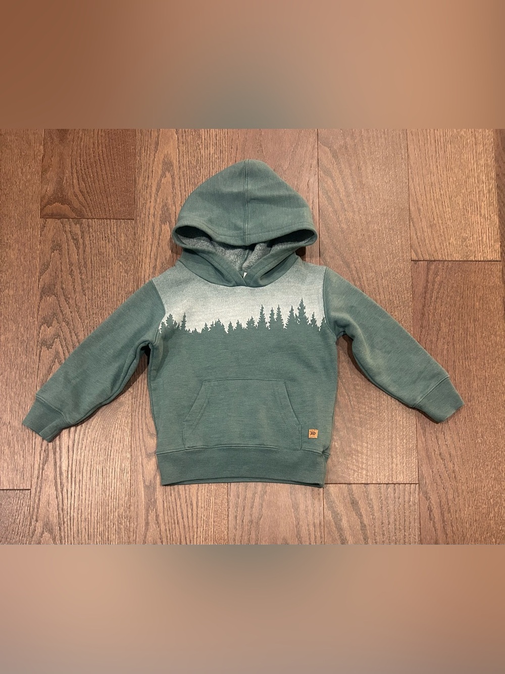 TenTree Size 3T Boy's Hoodie